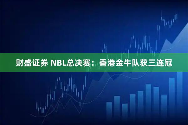 财盛证券 NBL总决赛：香港金牛队获三连冠