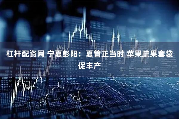 杠杆配资网 宁夏彭阳：夏管正当时 苹果疏果套袋促丰产