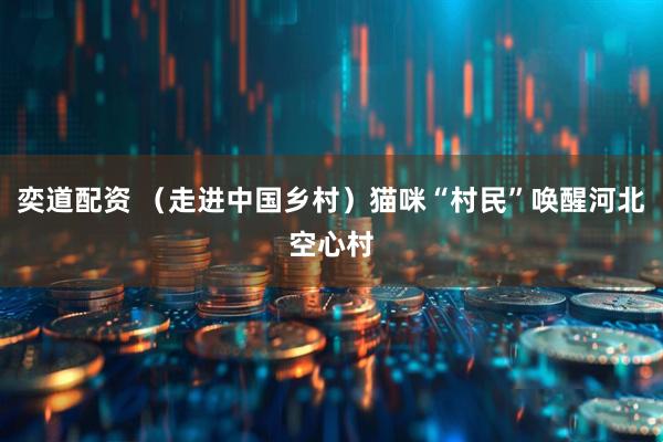 奕道配资 (走进中国乡村)猫咪“村民”唤醒河北空心村