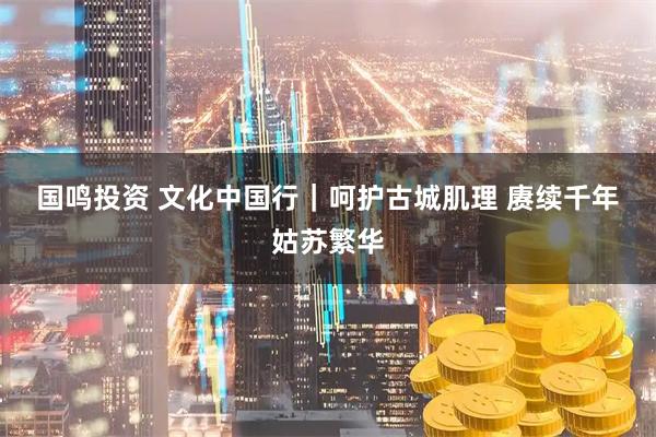 国鸣投资 文化中国行｜呵护古城肌理 赓续千年姑苏繁华
