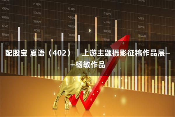 配股宝 夏语(402)|上游主题摄影征稿作品展——杨敏作品