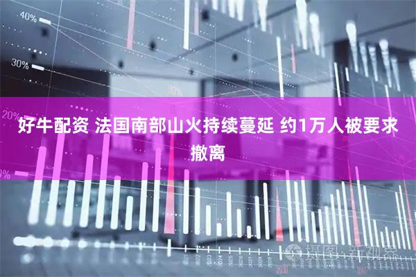 好牛配资 法国南部山火持续蔓延 约1万人被要求撤离